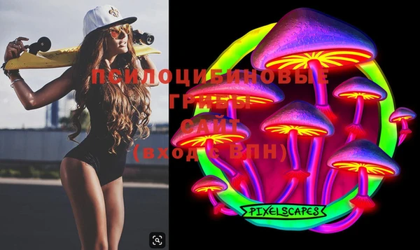 ECSTASY Алзамай
