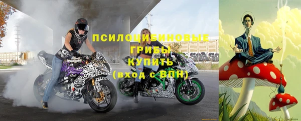 прущие крисы Алексеевка