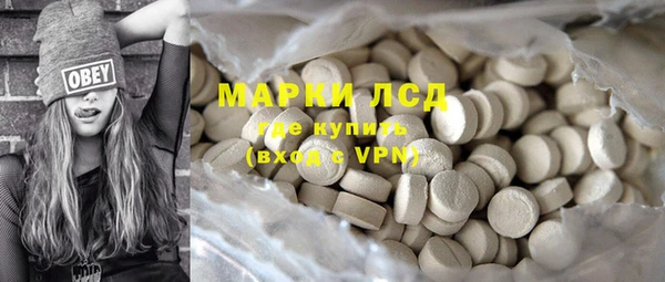 ECSTASY Алзамай