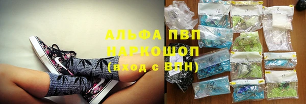 ECSTASY Алзамай