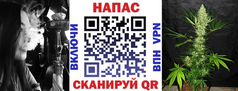 Каннабис сатива  наркошоп  Тихвин 